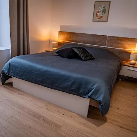 شقة Temple Jacquesson - Gare - Centre - Wifi Rapide Et Streaming - Parking Gratuit - Check In 24h - Climatisation - Ideal Pros - Cour Privee - Barbecue