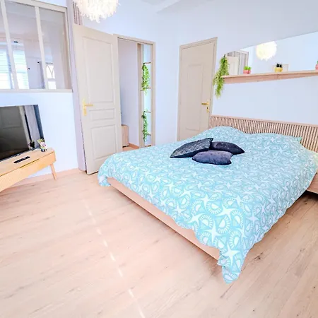 Temple Jacquesson - Gare - Centre - Wifi Rapide Et Streaming - Parking Gratuit - Check In 24h - Climatisation - Ideal Pros - Cour Privee - Barbecue شقة شالو أو شُمْبانيِ