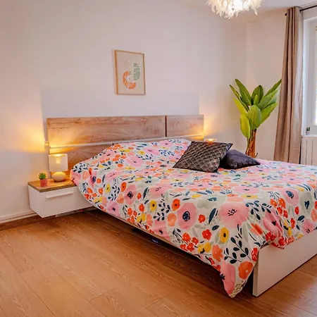 شقة Temple Jacquesson - Gare - Centre - Wifi Rapide Et Streaming - Parking Gratuit - Check In 24h - Climatisation - Ideal Pros - Cour Privee - Barbecue *