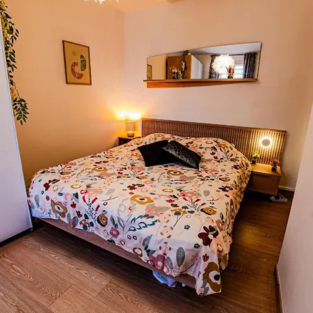Temple Jacquesson - Gare - Centre - Wifi Rapide Et Streaming - Parking Gratuit - Check In 24h - Climatisation - Ideal Pros - Cour Privee - Barbecue
