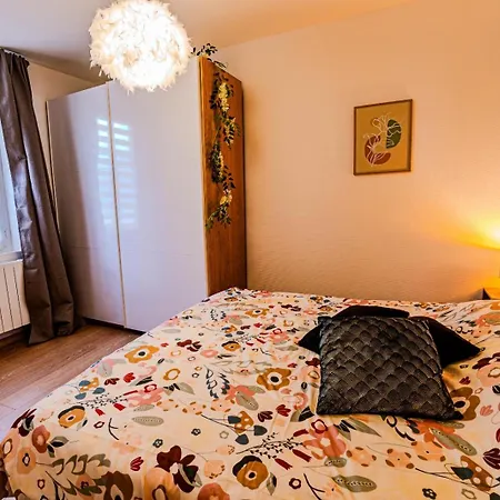 Temple Jacquesson - Gare - Centre - Wifi Rapide Et Streaming - Parking Gratuit - Check In 24h - Climatisation - Ideal Pros - Cour Privee - Barbecue شقة